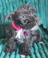 processed/c8ed8608-600e-4e76-88c4-0df21350348d/listing/17f0b532-f50d-4190-9489-eaac5fe8fe74/f1a517f0-885b-4492-90f4-1f955c2e0ad7