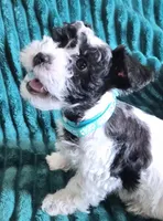 processed/c8ed8608-600e-4e76-88c4-0df21350348d/listing/2d53d4b8-555b-4b8b-b0ec-39488fa35720/3b18df45-e639-488f-a08c-dbb1e60e34ac