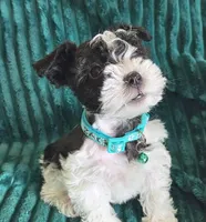 processed/c8ed8608-600e-4e76-88c4-0df21350348d/listing/2d53d4b8-555b-4b8b-b0ec-39488fa35720/84f5bc10-f8db-4262-928b-427dfce759a3