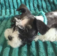 processed/c8ed8608-600e-4e76-88c4-0df21350348d/listing/2d53d4b8-555b-4b8b-b0ec-39488fa35720/a1d46ed7-b6fd-4b26-bcdc-e30371c917fb