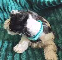 processed/c8ed8608-600e-4e76-88c4-0df21350348d/listing/2d53d4b8-555b-4b8b-b0ec-39488fa35720/ceacaa57-ef01-4520-8b40-26461ca1cd4b