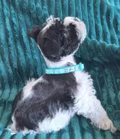 processed/c8ed8608-600e-4e76-88c4-0df21350348d/listing/2d53d4b8-555b-4b8b-b0ec-39488fa35720/e87d939f-7e5c-4b6b-b593-456b66810cdd