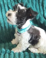 processed/c8ed8608-600e-4e76-88c4-0df21350348d/listing/2d53d4b8-555b-4b8b-b0ec-39488fa35720/f5dc2832-b0ed-41bb-b2a8-6e22f0b27152