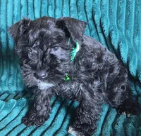 processed/c8ed8608-600e-4e76-88c4-0df21350348d/listing/49d4d9c6-6b65-4208-b996-abf53e886956/0fa17e93-d606-4bcd-8cea-90d032e3bdaa