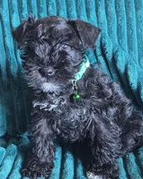 processed/c8ed8608-600e-4e76-88c4-0df21350348d/listing/49d4d9c6-6b65-4208-b996-abf53e886956/3f49f176-97d7-462b-8339-c81a9fb97dea