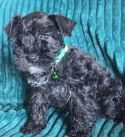 processed/c8ed8608-600e-4e76-88c4-0df21350348d/listing/49d4d9c6-6b65-4208-b996-abf53e886956/67a3d80e-2c7d-4ab2-aabd-34e3a0df90d0