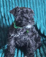 processed/c8ed8608-600e-4e76-88c4-0df21350348d/listing/49d4d9c6-6b65-4208-b996-abf53e886956/699a30a7-b0a5-4c4f-8bb0-5e2e2b82278a