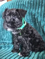 processed/c8ed8608-600e-4e76-88c4-0df21350348d/listing/49d4d9c6-6b65-4208-b996-abf53e886956/74d9bdbe-ea9e-4c22-899e-64005dede062