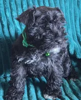 processed/c8ed8608-600e-4e76-88c4-0df21350348d/listing/49d4d9c6-6b65-4208-b996-abf53e886956/7f8b4feb-fa6c-46e3-9046-4310759c9435