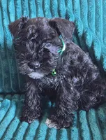 processed/c8ed8608-600e-4e76-88c4-0df21350348d/listing/49d4d9c6-6b65-4208-b996-abf53e886956/a0c4ca17-fe03-4575-b2fd-b811d23649f9