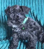 processed/c8ed8608-600e-4e76-88c4-0df21350348d/listing/49d4d9c6-6b65-4208-b996-abf53e886956/d51db4b7-1265-4c9a-b712-75e50e90ae9b