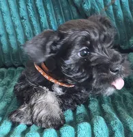 processed/c8ed8608-600e-4e76-88c4-0df21350348d/listing/76909ca5-5fb6-45ee-ba3a-06c33bd4493a/3ed4809d-1584-469e-a9a0-ec21303305e8