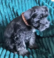 processed/c8ed8608-600e-4e76-88c4-0df21350348d/listing/76909ca5-5fb6-45ee-ba3a-06c33bd4493a/4c6b7315-509a-4c1a-93af-8f1ea8bb7748