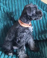 processed/c8ed8608-600e-4e76-88c4-0df21350348d/listing/76909ca5-5fb6-45ee-ba3a-06c33bd4493a/57d4f7e4-626f-4c7b-b007-538d06f1e4ea