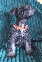 processed/c8ed8608-600e-4e76-88c4-0df21350348d/listing/76909ca5-5fb6-45ee-ba3a-06c33bd4493a/81902fd7-c7dc-4bb8-bc19-717569738d0e