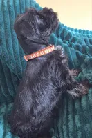 processed/c8ed8608-600e-4e76-88c4-0df21350348d/listing/76909ca5-5fb6-45ee-ba3a-06c33bd4493a/a87013ad-0a2b-4879-b683-727fedda22df