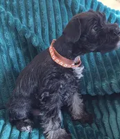 processed/c8ed8608-600e-4e76-88c4-0df21350348d/listing/76909ca5-5fb6-45ee-ba3a-06c33bd4493a/ebc1a30a-7bf2-45b2-970f-0b3bf17d53ae