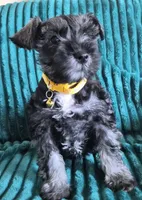 processed/c8ed8608-600e-4e76-88c4-0df21350348d/listing/ab51a3c4-07a0-4cbd-beaf-3bd82bc4d217/2745f4f8-327d-4de9-ba7b-59e410d4f116