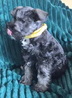 processed/c8ed8608-600e-4e76-88c4-0df21350348d/listing/ab51a3c4-07a0-4cbd-beaf-3bd82bc4d217/9417a53a-32c4-4c68-89ff-15764167bf1e