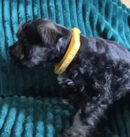 processed/c8ed8608-600e-4e76-88c4-0df21350348d/listing/ab51a3c4-07a0-4cbd-beaf-3bd82bc4d217/a107075f-00c0-448b-a3b0-ee26d18aa74e