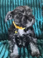 processed/c8ed8608-600e-4e76-88c4-0df21350348d/listing/ab51a3c4-07a0-4cbd-beaf-3bd82bc4d217/d9ddbe1b-cad4-4689-a6e0-5e1c2a5e51af