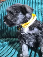 processed/c8ed8608-600e-4e76-88c4-0df21350348d/listing/ab51a3c4-07a0-4cbd-beaf-3bd82bc4d217/e49e6bce-6ea4-4b37-a6fc-0864beaeddbd