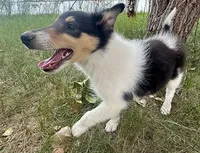 processed/c8f06d71-69d8-45ce-a384-d3b4186478d5/listing/831042cf-97eb-4491-9e25-aa738cd3aeb9/3e47400b-9425-4fe6-91c5-77b3600b63fb