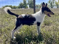 processed/c8f06d71-69d8-45ce-a384-d3b4186478d5/listing/831042cf-97eb-4491-9e25-aa738cd3aeb9/896c015a-c1a3-40b2-a52e-963015acfe97