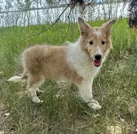 processed/c8f06d71-69d8-45ce-a384-d3b4186478d5/listing/86545cac-f9e8-4584-b7cc-80783cc2545e/a875679c-b704-45b0-ac5f-c3d7311d015f