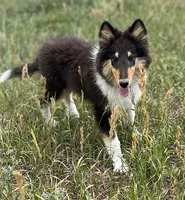 processed/c8f06d71-69d8-45ce-a384-d3b4186478d5/listing/a682d3af-63ac-4d54-b9d6-4be95197fd3a/c8b5197d-8c9f-4a8a-965a-fa13cb9d0e74