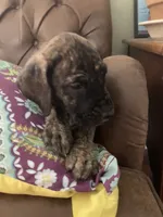 processed/c8f25e08-faa2-4eb1-8bb6-2ac6f2611f3f/listing/2e87b47b-3665-4420-8e15-8aba6a2fad02/60be158a-df52-4179-a6e5-cf0d942c6169