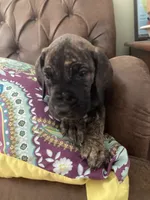 processed/c8f25e08-faa2-4eb1-8bb6-2ac6f2611f3f/listing/2e87b47b-3665-4420-8e15-8aba6a2fad02/e39e42fd-123a-4653-9482-165389d88e22