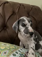 processed/c8f25e08-faa2-4eb1-8bb6-2ac6f2611f3f/listing/51401049-21d9-4af4-81ef-0a7739600643/295eba7f-8a22-462a-a1b1-84ecef1df177