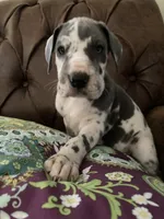 processed/c8f25e08-faa2-4eb1-8bb6-2ac6f2611f3f/listing/51401049-21d9-4af4-81ef-0a7739600643/30c83174-4102-45b8-97d0-a25556643870