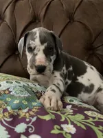 processed/c8f25e08-faa2-4eb1-8bb6-2ac6f2611f3f/listing/51401049-21d9-4af4-81ef-0a7739600643/911b42ab-ed44-4f66-a8ab-c32d206ff73a