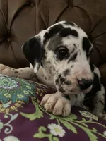 processed/c8f25e08-faa2-4eb1-8bb6-2ac6f2611f3f/listing/554b4e89-06e8-4a10-bf2a-426c2a3801a6/100f3dca-2d01-44cf-a2c1-660ca5ea4656