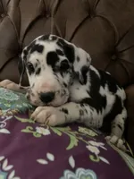 processed/c8f25e08-faa2-4eb1-8bb6-2ac6f2611f3f/listing/554b4e89-06e8-4a10-bf2a-426c2a3801a6/525bc089-ecf3-4163-b3ad-a02477b50dbb