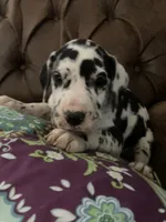 processed/c8f25e08-faa2-4eb1-8bb6-2ac6f2611f3f/listing/554b4e89-06e8-4a10-bf2a-426c2a3801a6/9db4e140-943a-4f38-ac09-c4620a5f7579