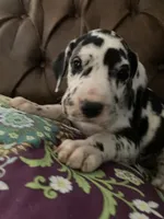 processed/c8f25e08-faa2-4eb1-8bb6-2ac6f2611f3f/listing/554b4e89-06e8-4a10-bf2a-426c2a3801a6/ac0f8c90-bbd0-47ec-a422-e528820cb321