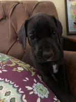 processed/c8f25e08-faa2-4eb1-8bb6-2ac6f2611f3f/listing/8898bee2-8572-4ef4-9e19-6095e8902823/33246da1-5c76-4d6a-8f67-04d220f42c79