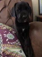 processed/c8f25e08-faa2-4eb1-8bb6-2ac6f2611f3f/listing/8898bee2-8572-4ef4-9e19-6095e8902823/4c35ed5f-c9a2-40d4-aee9-efc11ee62a88