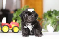 processed/c8feec1f-6606-4b89-b9ce-5a26c873fdbf/listing/067590fa-55f1-40da-8f4e-17856dcc45cc/3cbf0630-a95c-46be-bc8b-13890e716245