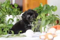 processed/c8feec1f-6606-4b89-b9ce-5a26c873fdbf/listing/067590fa-55f1-40da-8f4e-17856dcc45cc/a36cb2b1-218f-4696-aaa6-d5717c0e0f82