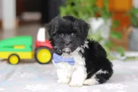 processed/c8feec1f-6606-4b89-b9ce-5a26c873fdbf/listing/0d45eb4f-5ffd-4987-837a-97e911ea6f97/2d877044-b372-4e4d-b8ad-188e11030b64