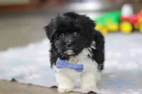 processed/c8feec1f-6606-4b89-b9ce-5a26c873fdbf/listing/0d45eb4f-5ffd-4987-837a-97e911ea6f97/42323bd8-c82a-4aca-86fb-3d9834cd7932