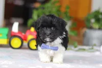 processed/c8feec1f-6606-4b89-b9ce-5a26c873fdbf/listing/0d45eb4f-5ffd-4987-837a-97e911ea6f97/e35b097c-5662-42bb-8384-48d0a7451c9d