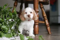 processed/c8feec1f-6606-4b89-b9ce-5a26c873fdbf/listing/40f6ae3f-2eb6-4622-b819-4688b1bd8de9/305b7ff3-998d-4111-984b-53dfe39db1d4