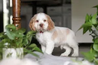 processed/c8feec1f-6606-4b89-b9ce-5a26c873fdbf/listing/40f6ae3f-2eb6-4622-b819-4688b1bd8de9/ae36848b-6411-45e9-bbc4-a54f2a8f91a0