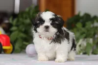 processed/c8feec1f-6606-4b89-b9ce-5a26c873fdbf/listing/db41a300-cb4f-46d2-8366-5e3b3c6676a0/5773db7b-cf2a-48d4-836e-33066be7ea66