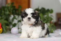 processed/c8feec1f-6606-4b89-b9ce-5a26c873fdbf/listing/db41a300-cb4f-46d2-8366-5e3b3c6676a0/886d5481-196a-418b-9139-008e2d308dab